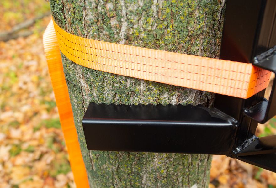Mounts to Trees with 6” Serrated Braces and Strap Support