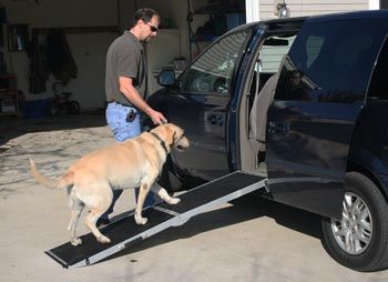 dog ramp for van