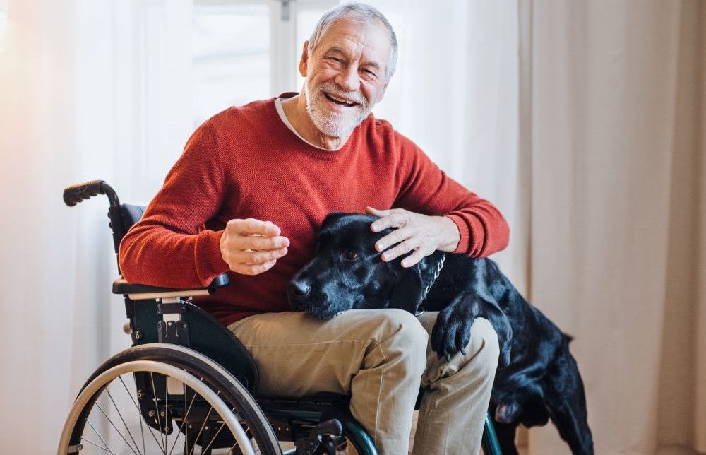 Photo of a man in a wheelchair with a black dog on his lap.