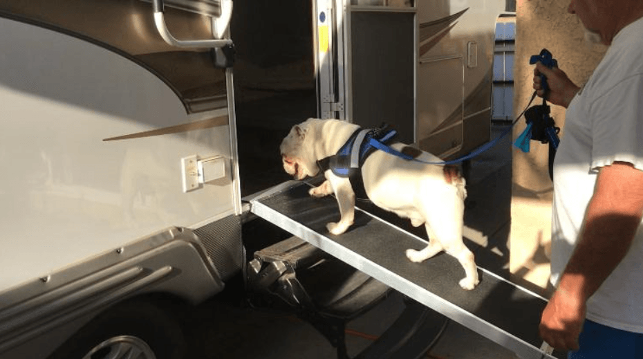 Picture of Discount Ramps' Dog Ramp