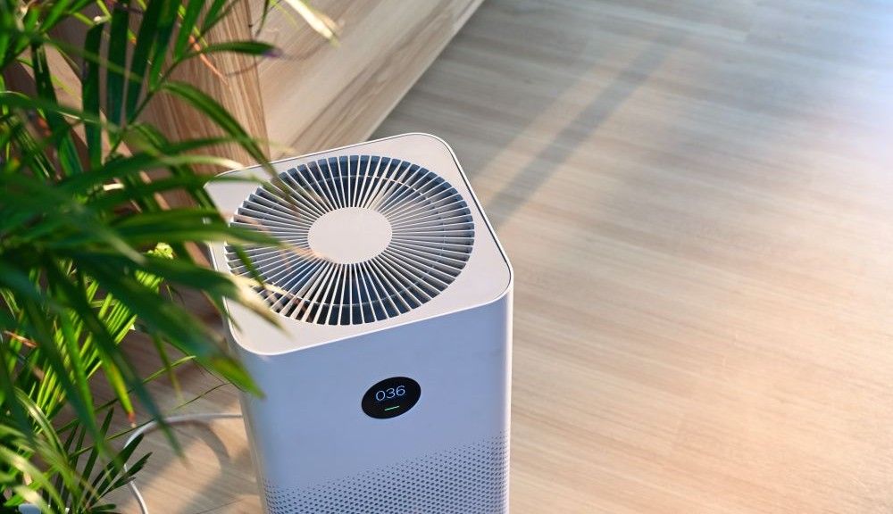 Picture of an air purifier with a plant in a room