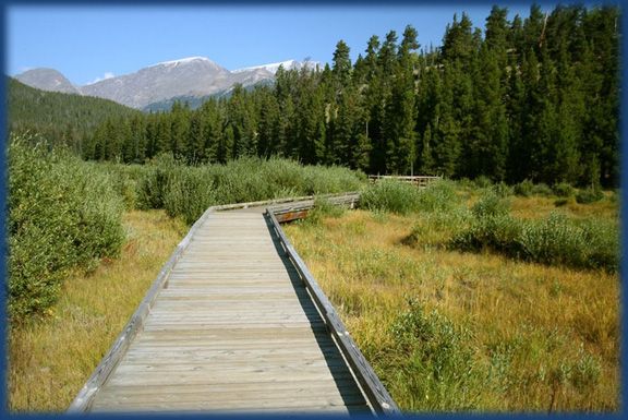 Card image cap for Top Wheelchair Friendly and Accessible Vacations