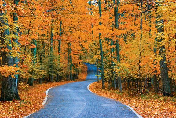 Card image cap for The 10 Best Fall Motorcycle Rides
