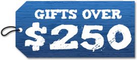 Gift Ideas Over $250