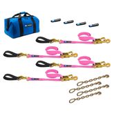 519220 2 x 10 Ultra Pack Tie-Down Straps with Detachable Axle Straps Direct Hook Ends  Chain Extensions - Pink