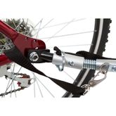 CL-BT-502 Apex Double Stroller and Bike Trailer BT-502__6