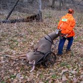 CL-GAME-CART Kill Shot 500 lbs Capacity Game Cart GAME-CART__2