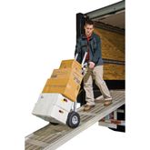 SGWALK Retractable Underbody Posi-Step Walk Ramps
