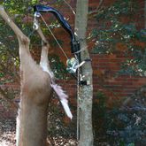 CL-VKS-VFK001 Viking Solutions Kwik Hoist Folding Tree-Mounted Deer Hoist VKS-VFK001__2