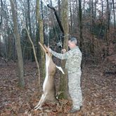 CL-VKS-VKH001 Viking Kwik Hoist Tree-Mounted Deer Hoist VKS-VKH001__1