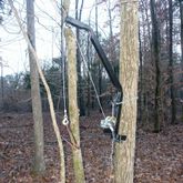 CL-VKS-VKH001 Viking Kwik Hoist Tree-Mounted Deer Hoist VKS-VKH001__3