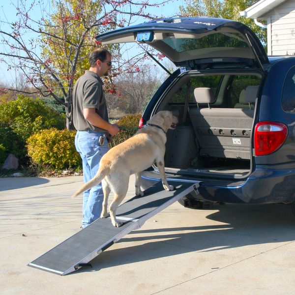 dog loading ramp