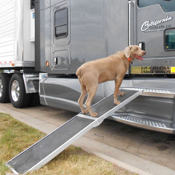 portable dog ramp